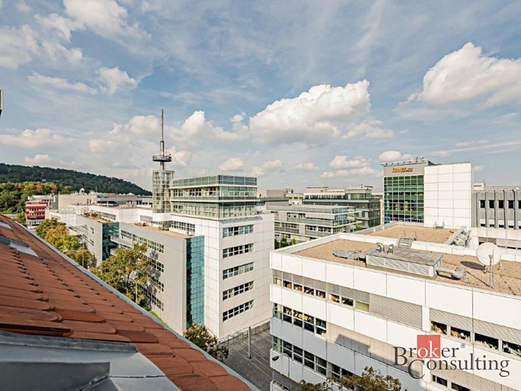 Prodej bytu 3+kk 110 m² - foto 25