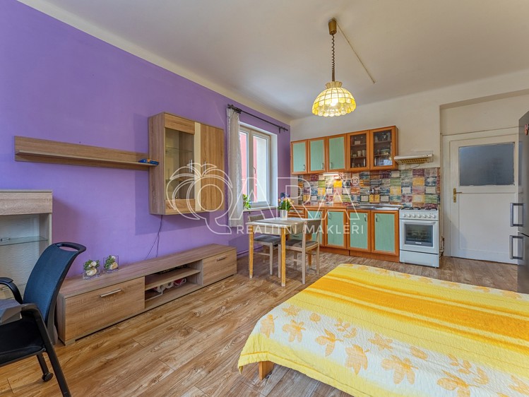 Prodej bytu 2+kk 47 m² (Jednopodlažní) - foto 4