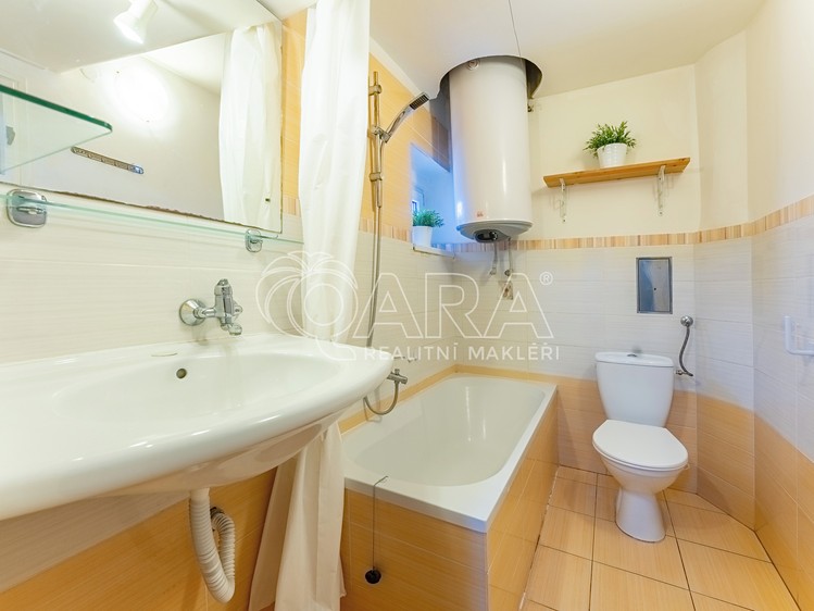 Prodej bytu 2+kk 47 m² (Jednopodlažní) - foto 11