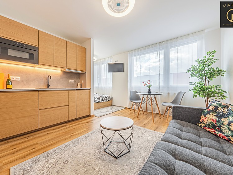 Prodej bytu 1+1 29 m² - foto 1