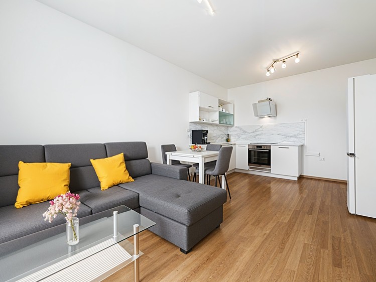 Prodej bytu 2+kk 50 m² (Jednopodlažní) - foto 2