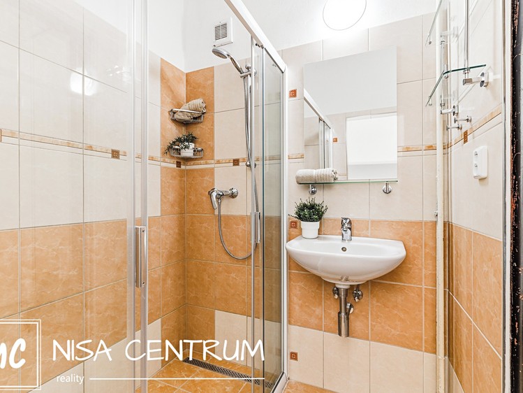Prodej bytu 1+1 41 m² - foto 6