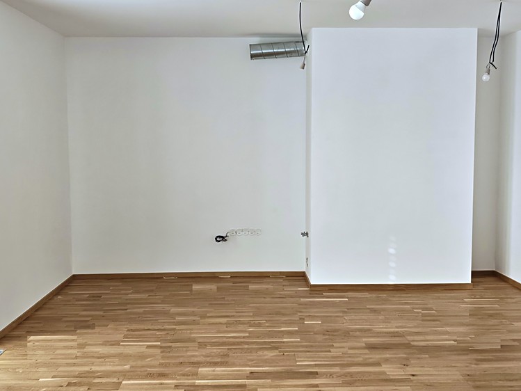Pronájem bytu 2+kk 68 m² (Jednopodlažní) - foto 4