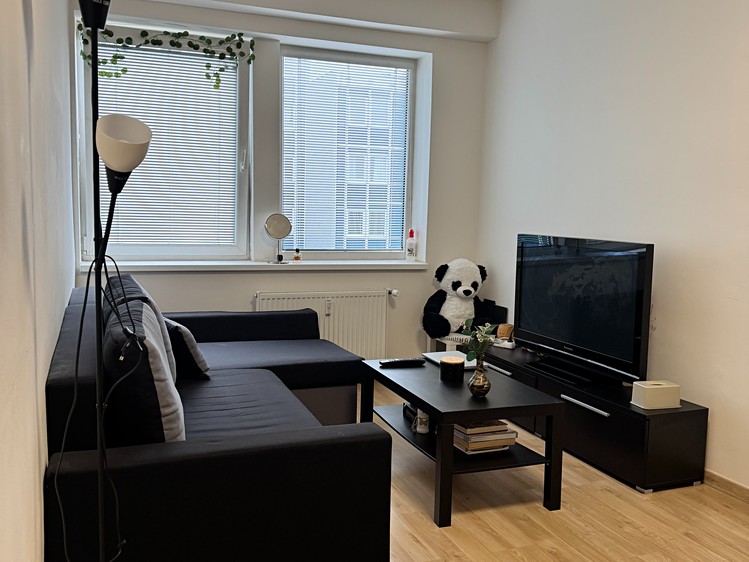 Pronájem bytu 2+kk 54 m² - foto 2