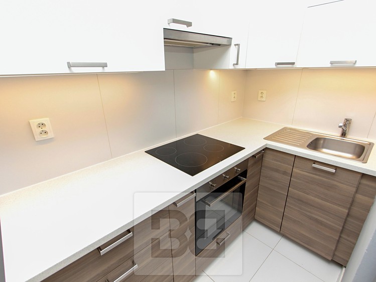 Pronájem bytu 2+1 60 m² - foto 5