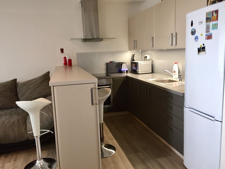 Pronájem bytu 1+kk 36 m² (Jednopodlažní) - foto 1