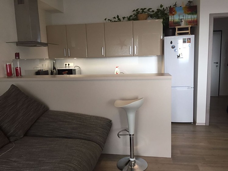 Pronájem bytu 1+kk 36 m² (Jednopodlažní) - foto 2