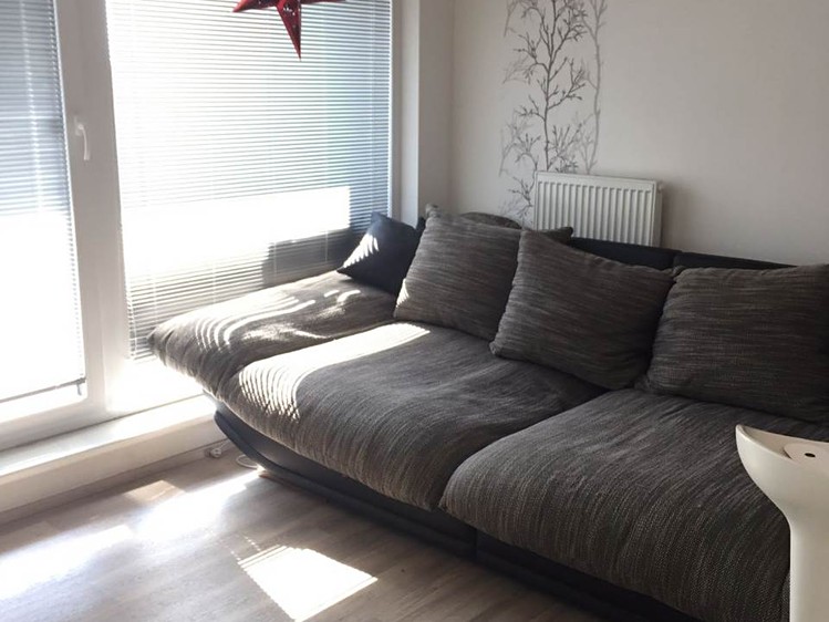 Pronájem bytu 1+kk 36 m² (Jednopodlažní) - foto 3