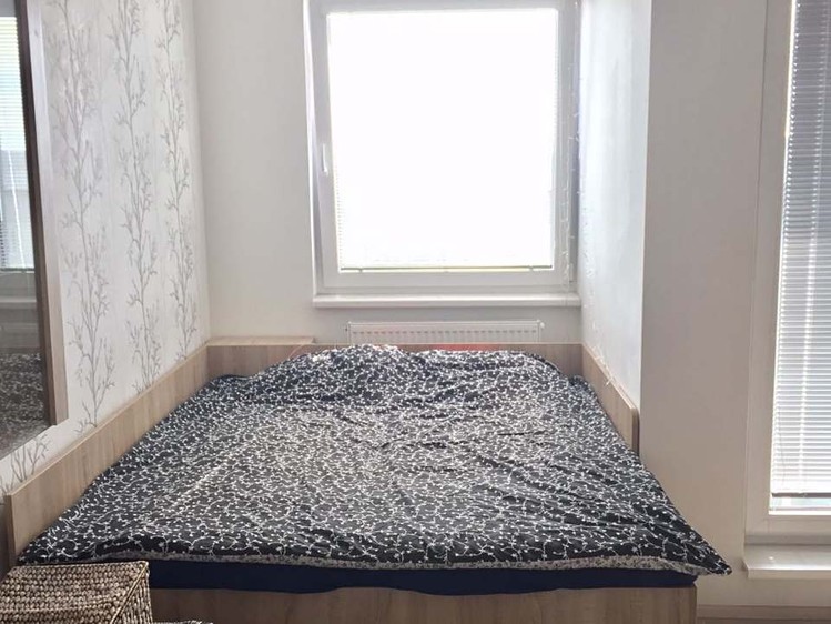 Pronájem bytu 1+kk 36 m² (Jednopodlažní) - foto 4