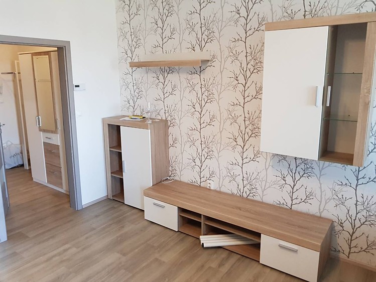 Pronájem bytu 1+kk 36 m² (Jednopodlažní) - foto 5
