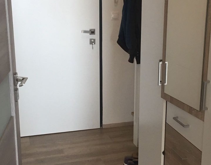 Pronájem bytu 1+kk 36 m² (Jednopodlažní) - foto 7