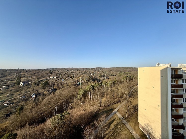 Pronájem bytu 3+1 67 m² - foto 4