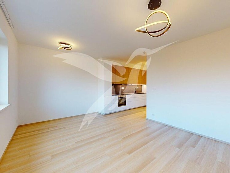 Pronájem bytu 3+kk 71 m² - foto 1