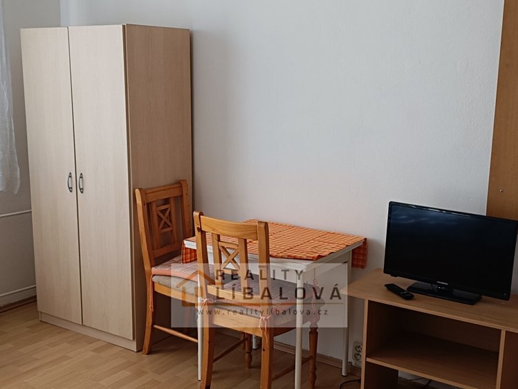 Pronájem bytu 1+kk 20 m² - foto 3