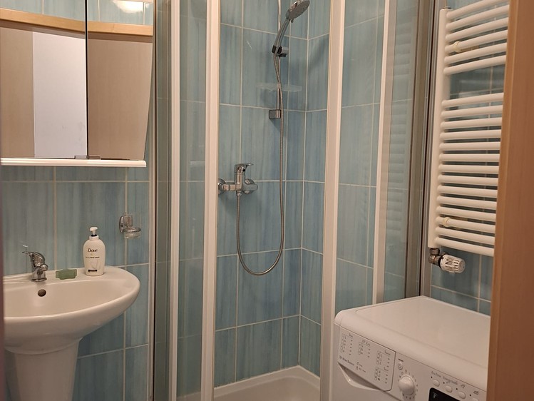 Pronájem bytu 1+kk 34 m² - foto 5