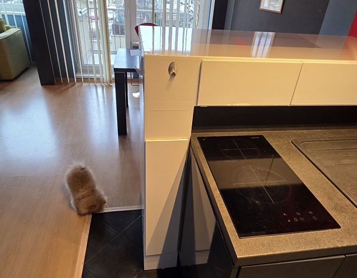 Pronájem bytu 2+kk 64 m² - foto 4
