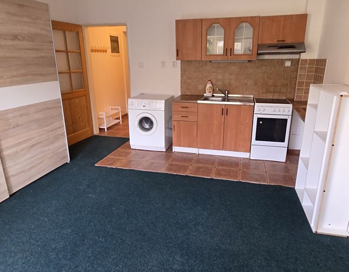 Pronájem bytu 1+kk 33 m² - foto 4
