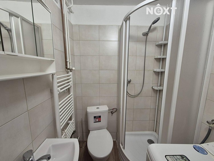 Pronájem bytu 1+1 29 m² (Jednopodlažní) - foto 8