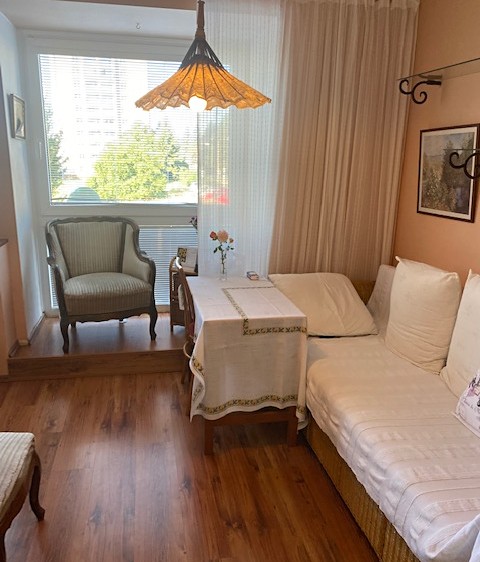 Pronájem bytu 1+kk 25 m² - foto 4