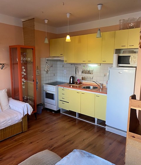 Pronájem bytu 1+kk 25 m² - foto 5
