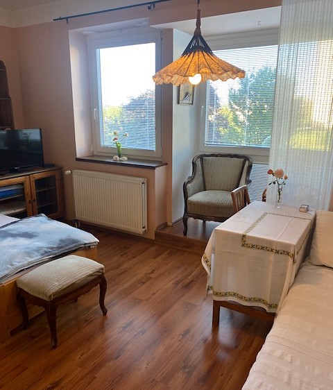 Pronájem bytu 1+kk 25 m² - foto 6