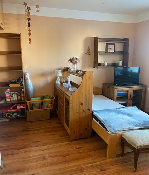 Pronájem bytu 1+kk 25 m² - foto 7