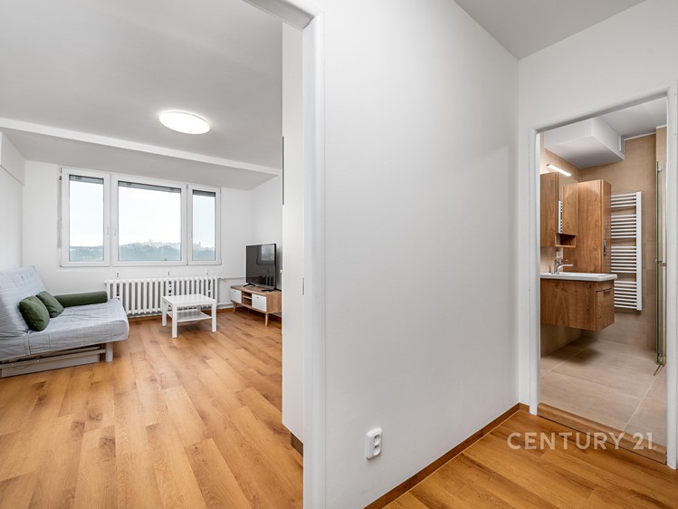 Pronájem bytu 2+kk 37 m² - foto 6