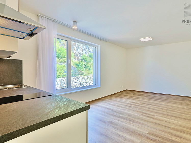 Pronájem bytu 1+kk 30 m² - foto 3