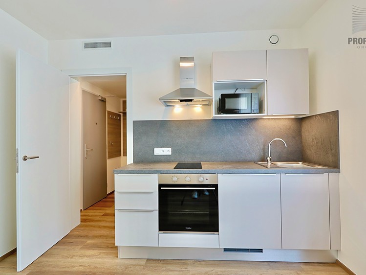 Pronájem bytu 1+kk 30 m² - foto 4