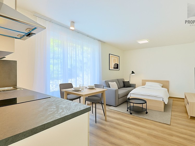 Pronájem bytu 1+kk 30 m² - foto 5