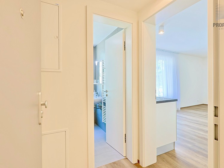 Pronájem bytu 1+kk 30 m² - foto 7