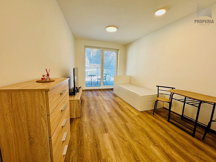 Pronájem bytu 1+kk 28 m² (Jednopodlažní) - foto 2