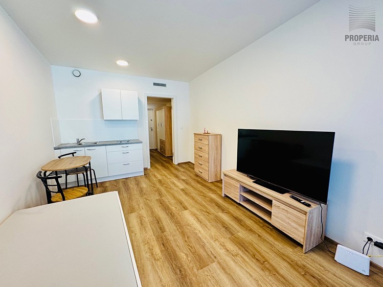Pronájem bytu 1+kk 28 m² (Jednopodlažní) - foto 3