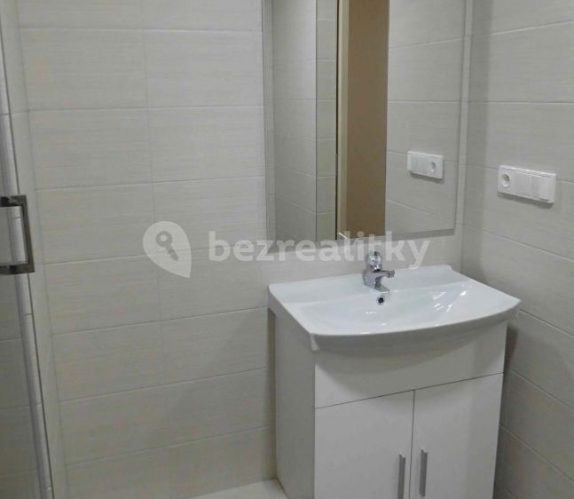 Pronájem bytu 1+kk 24 m² - foto 4