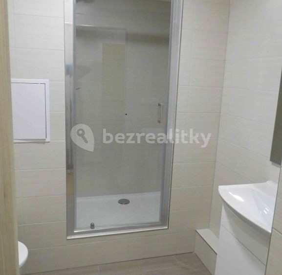 Pronájem bytu 1+kk 24 m² - foto 5