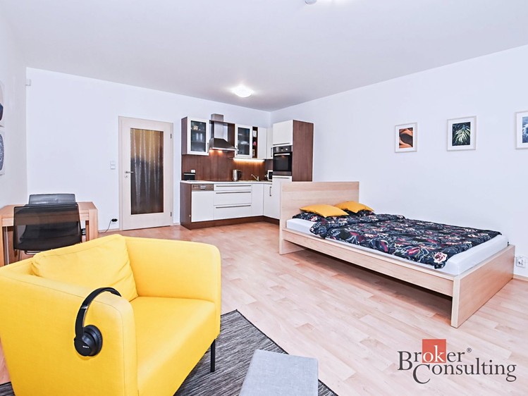 Pronájem bytu 1+kk 40 m² - foto 1