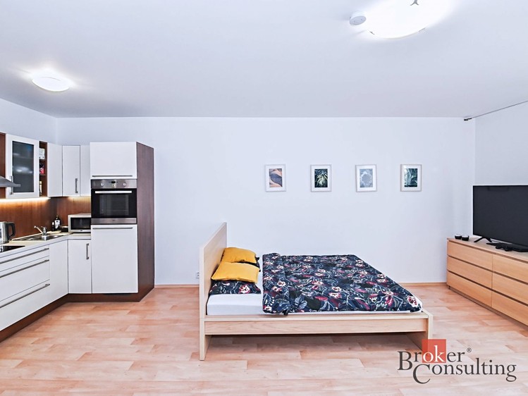 Pronájem bytu 1+kk 40 m² - foto 5