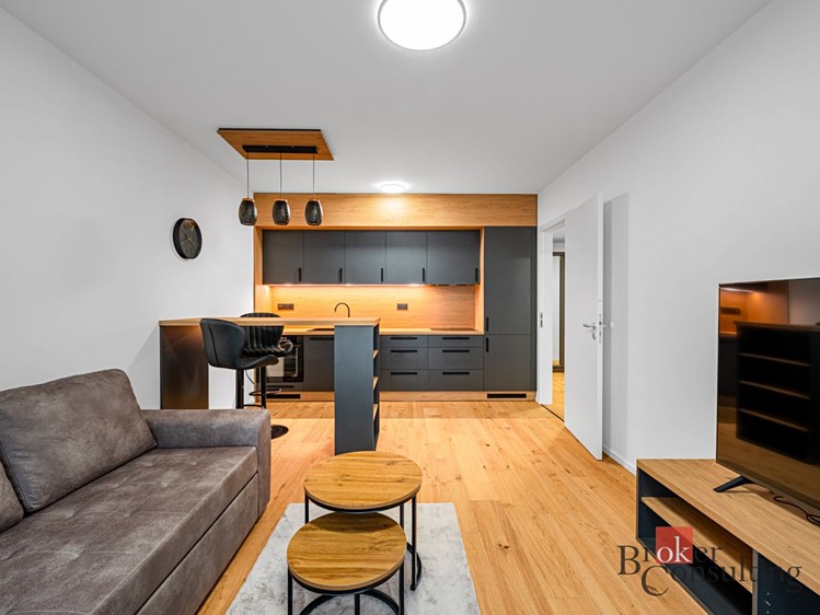 Pronájem bytu 2+kk 66 m² - foto 1