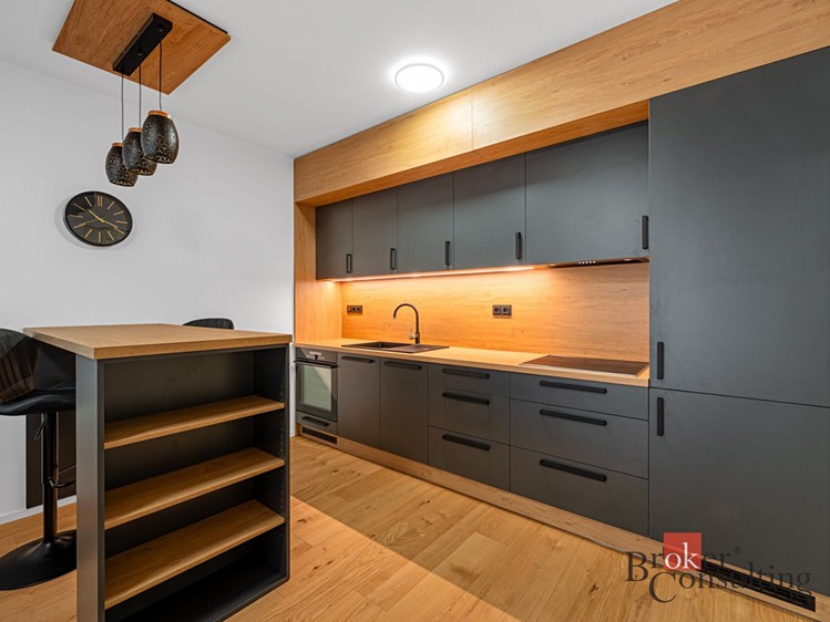 Pronájem bytu 2+kk 66 m² - foto 4