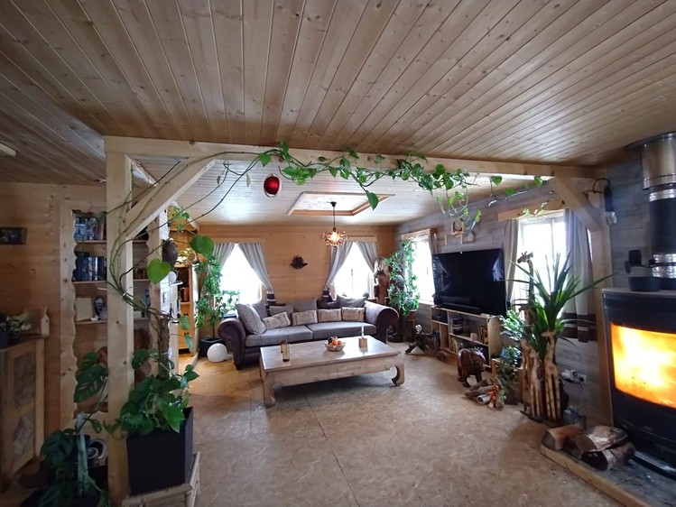 Prodej rodinného domu 280 m², pozemek 7 511 m² - foto 5