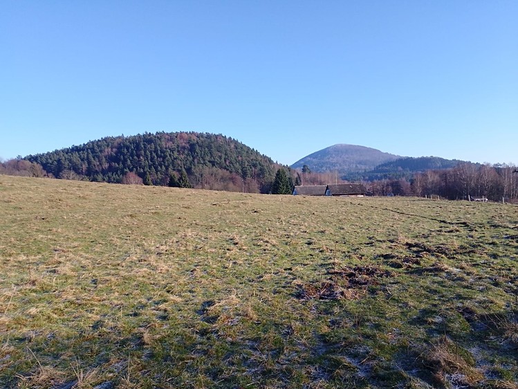 Prodej rodinného domu 280 m², pozemek 7 511 m² - foto 7