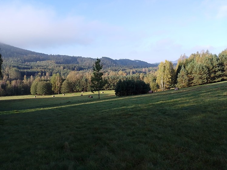 Prodej rodinného domu 280 m², pozemek 7 511 m² - foto 8