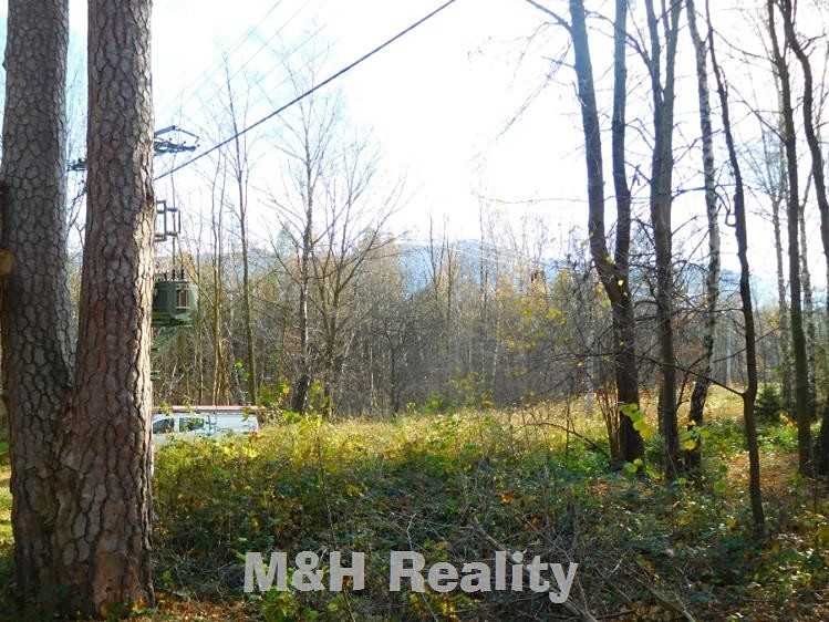 Prodej rodinného domu 36 m², pozemek 552 m² - foto 8