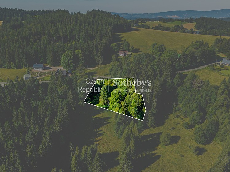 Prodej stavebního pozemku 2 976 m² - foto 5