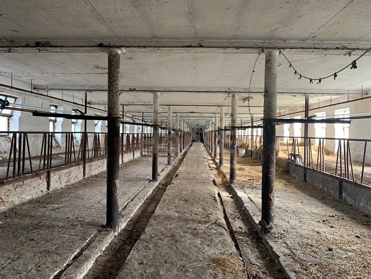 Prodej stavebního pozemku 1 691 m² - foto 6