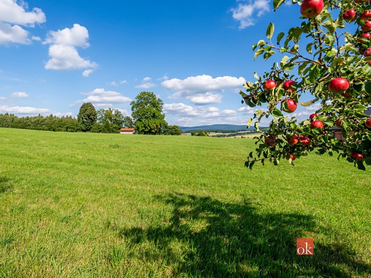 Prodej louky 7 126 m² - foto 5