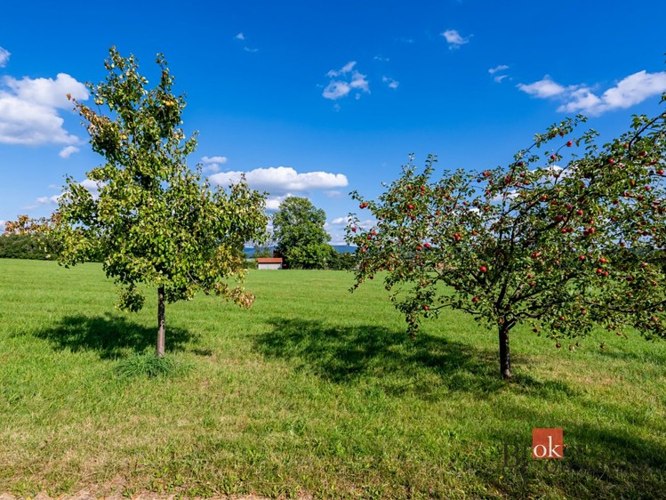 Prodej louky 7 126 m² - foto 6