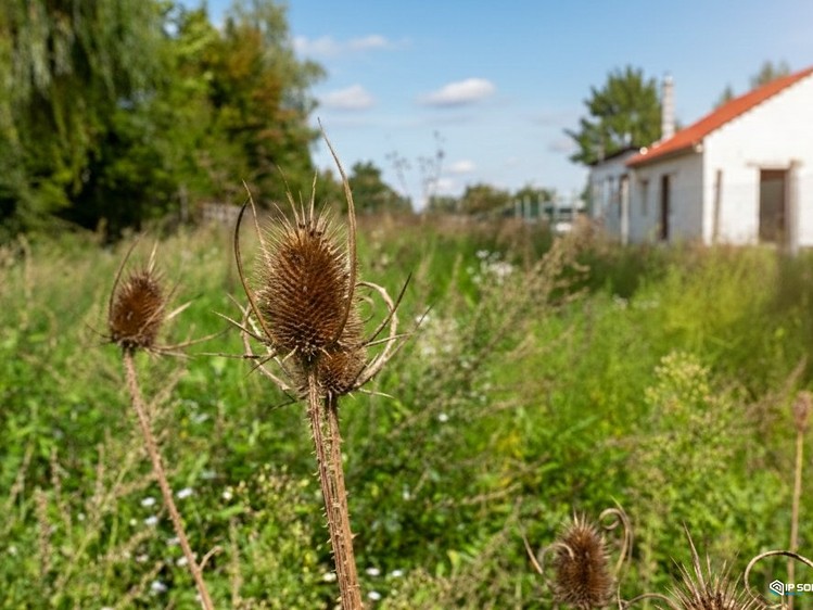 Prodej zahrady 1 202 m² - foto 1