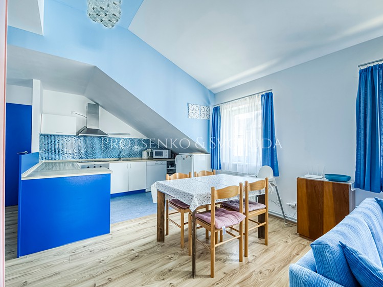 Prodej činžovního domu 490 m² - foto 8