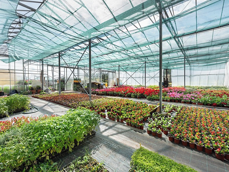 Prodej komerční nemovitosti 956 m² - foto 4